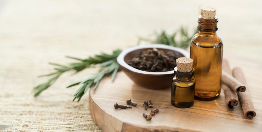 Rosemary Oil: Health Benefits, Side Effects, Uses, and More